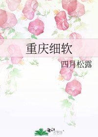 重庆细软